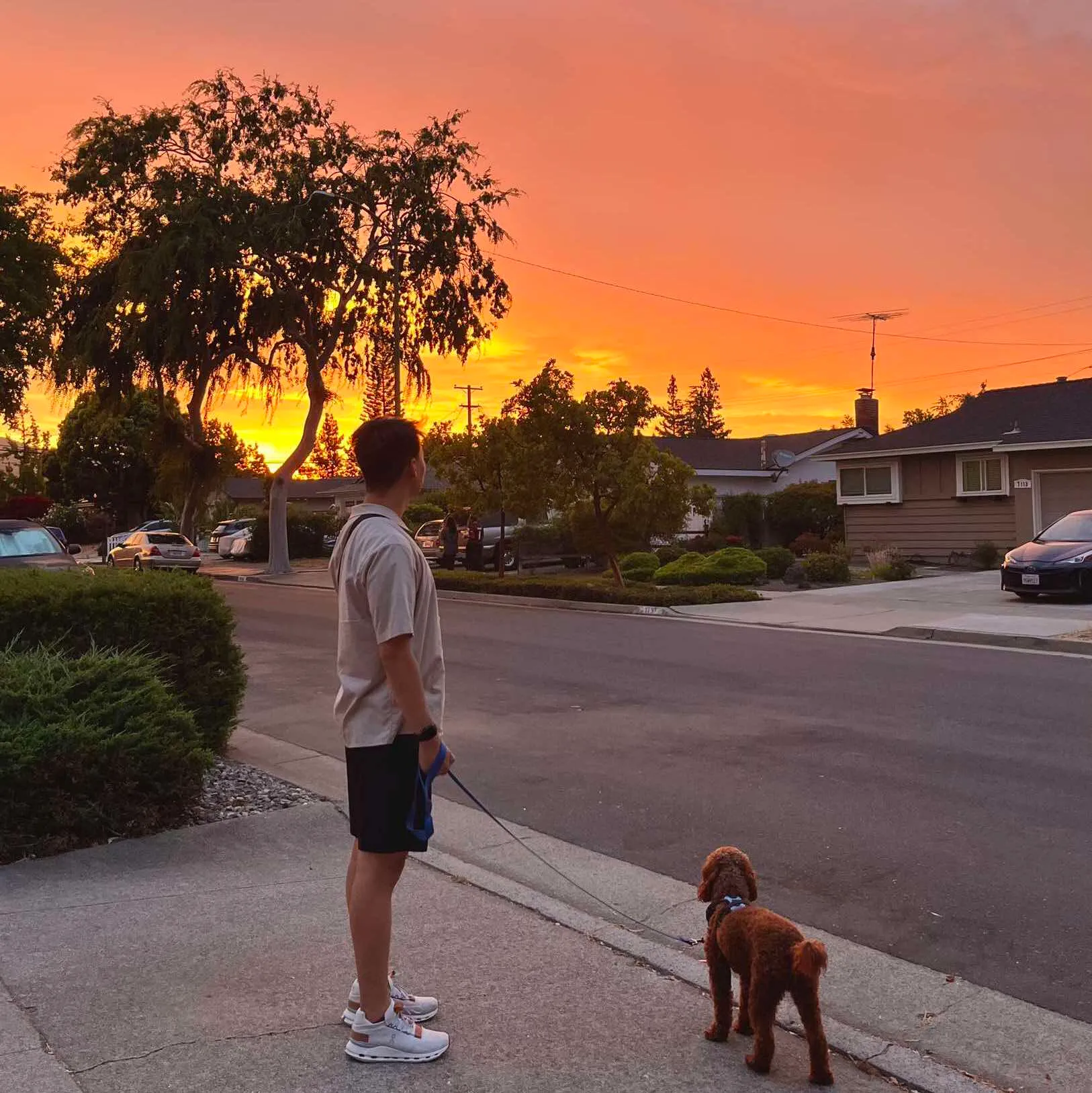 Profile picture of David Chen